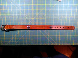 Dog Collar 3 (1)