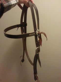 Standard headstall SS hardware.jpg