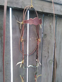 Bridle RBH0003 (6)