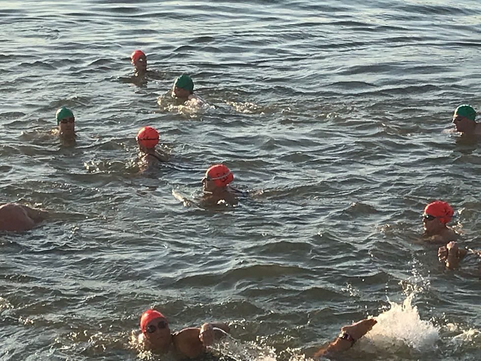 Beaufort River Swim 2019