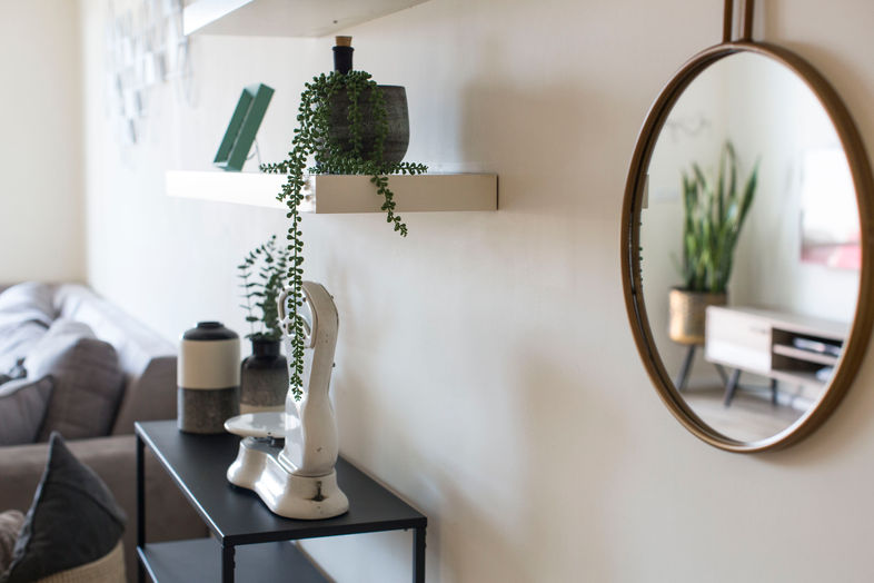 מדף שחור עם צמחים, מראה עגולה, עיצוב מינימליסטי