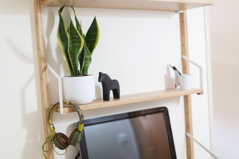 מדף עץ עם צמח, סוס קטן, אוזניות ומחשב