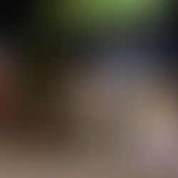 Tikro ryšio paieškos nuotolinio pasaulio fone: šokio dueto kelionė Meksikoje