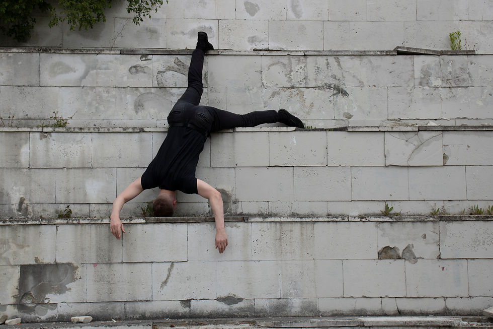 © Viltė Breimelytė