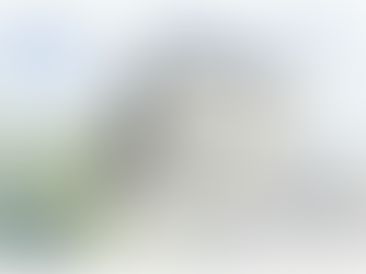 建築家と創る家　N様邸