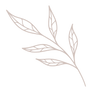 装飾