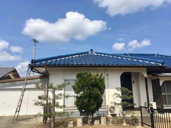 施行実績