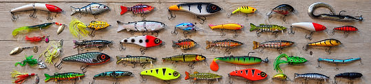Köderfische_DALL-E_09-2026_edited_edited_edited.jpg