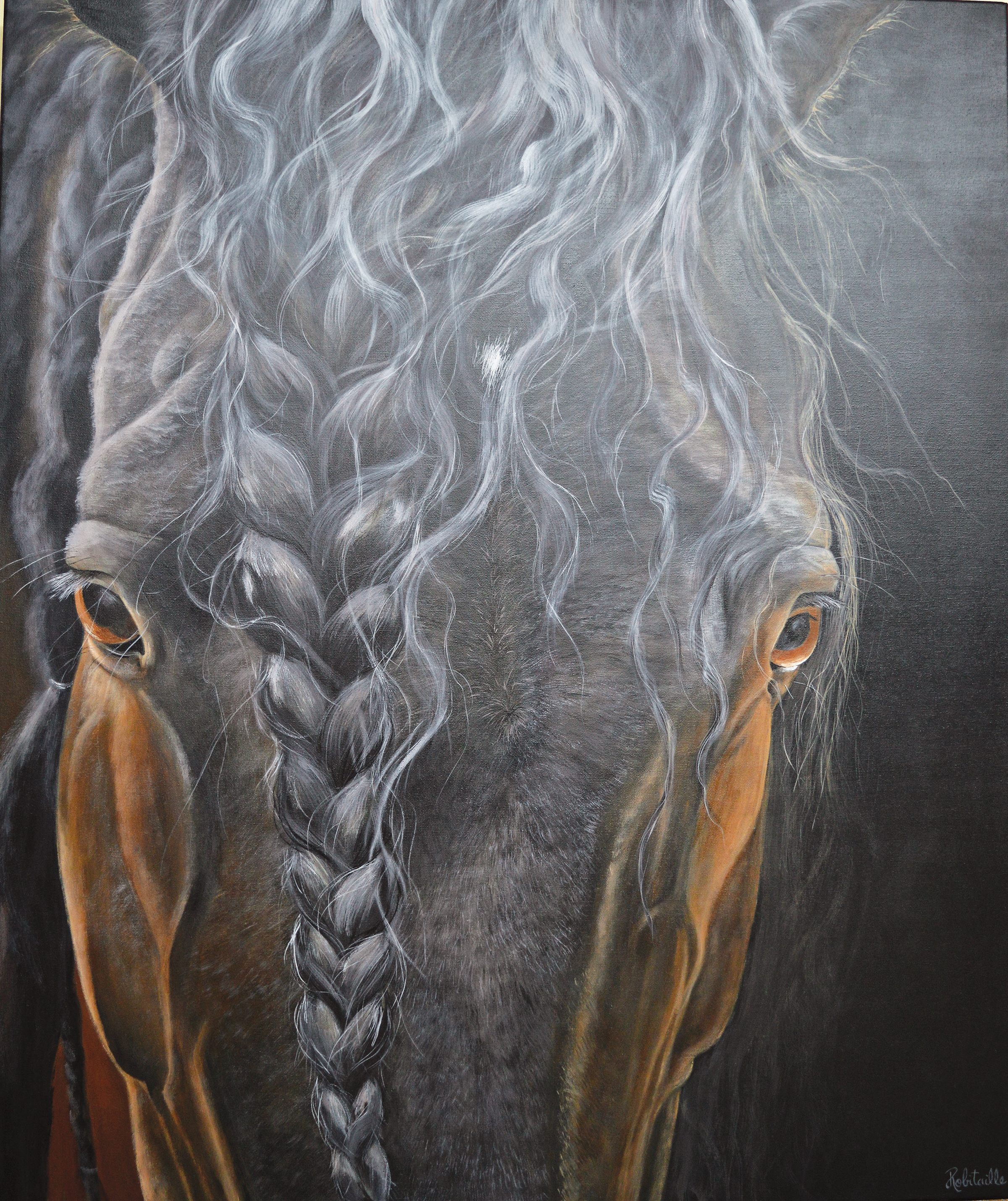 Regard de braise