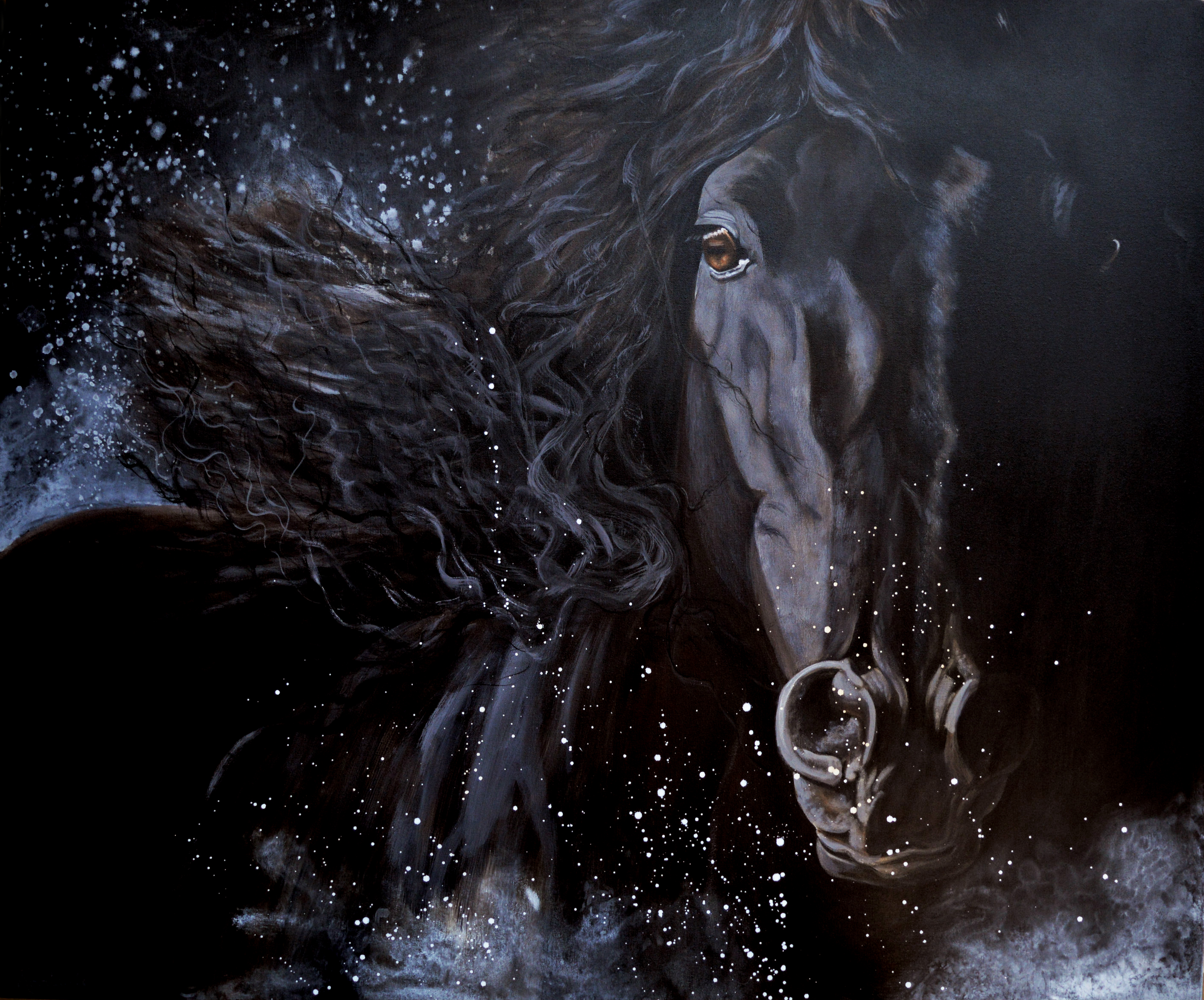 Robitaille-Black Beauty