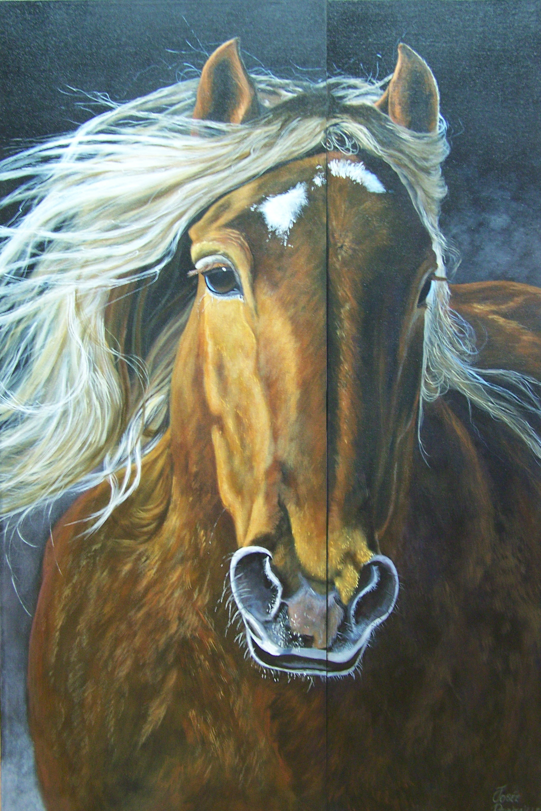 josee robitaille-tygalop