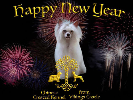 Happy New Year