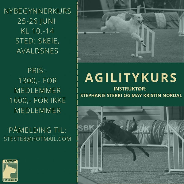 Agilitykurs 25-26.06.2022.jpg