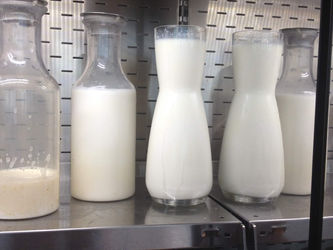 What's your favourite holiday drink?~ Tapasi