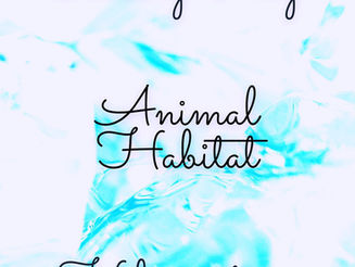 Animal Habitat
