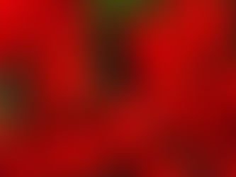 Spring Flowers~ craft with Tapasi