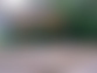 Summer Reading~ with Tapasi