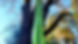 Screenshot_20221104-175131_Gallery.jpg