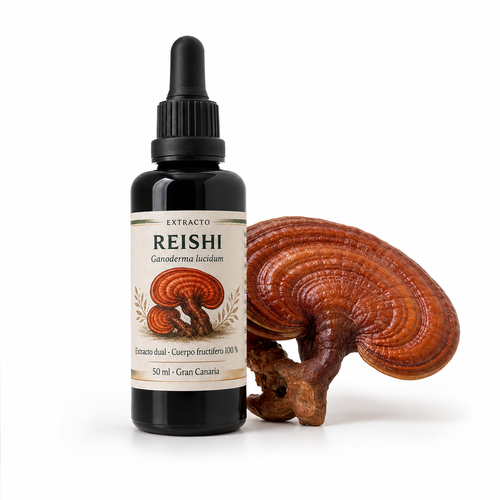 Extracto de Reishi (Ganoderma lucidum) | Coffeefungi