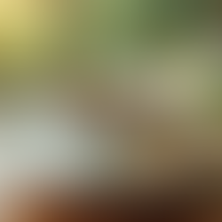 Natural Perimenopause Remedies for Lasting Relief