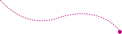 Vector 5 (10).png