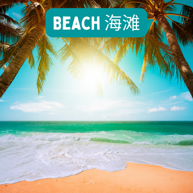 Beach.png