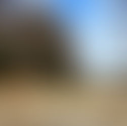 新サイト&新キャビン登場