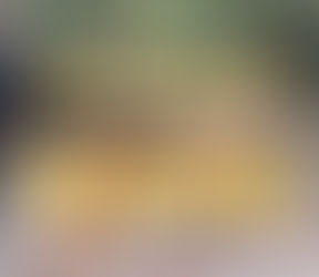 【1.21~2.25まで】わりとガチめな木工教室開催