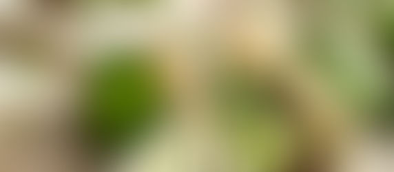 Back-to-school lunch box alternatives