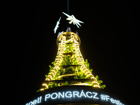 Pongrácz Tree Illuminates V&A Waterfront for Festive Celebrations