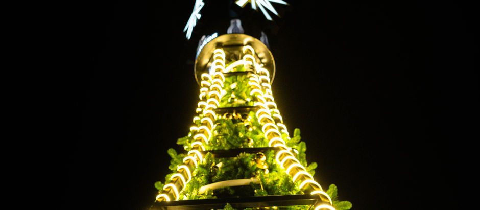 Pongrácz Tree Illuminates V&A Waterfront for Festive Celebrations