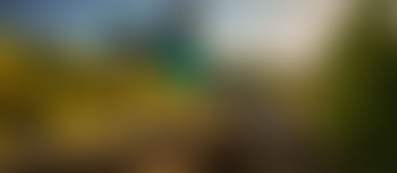 Blend your own wine and celebrate the start of harvest.