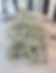 IMG_9503 (1).JPEG