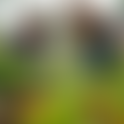 August Real Estate Update: Boost in Inventory and Summer Events You Can't Miss