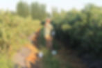 IMG_8324 - 10-06-2025 09-19-22.jpeg