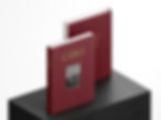 Ciro il libro edizione limitata flat
