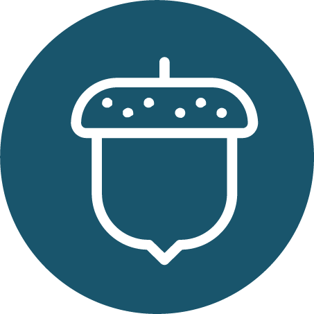 FRUTTA A GUSCIO_2x.png