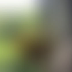 faux flower basket