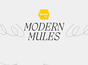 Hive Hunt: Modern Mules