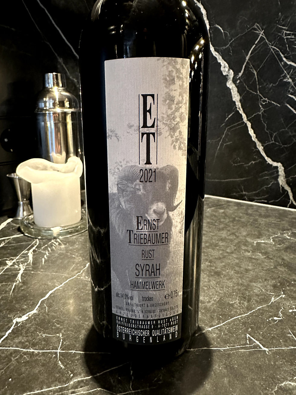 Miniaturbild: E Triebaumer Syrah Hammelwerk 2021