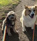 Coco and Freddy by Bob_edited_edited.jpg