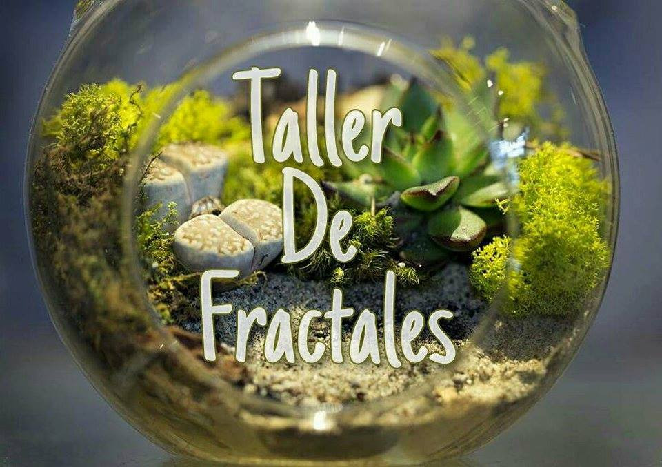 Taller De Fractales(Terrarios)