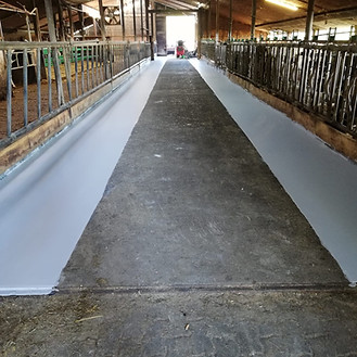 Futtertischsanierung