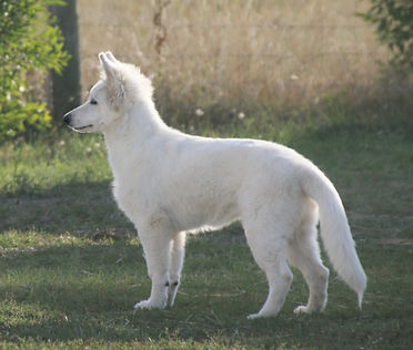 ChatGPT Image Mar 5, 2026, 05_05_15 PM_edited.jpg