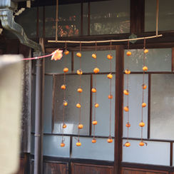 干し柿の季節しごと