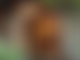 ふたつやまぐちが大事していること。