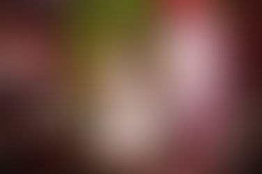 O aniversário de 15 anos de Camilly