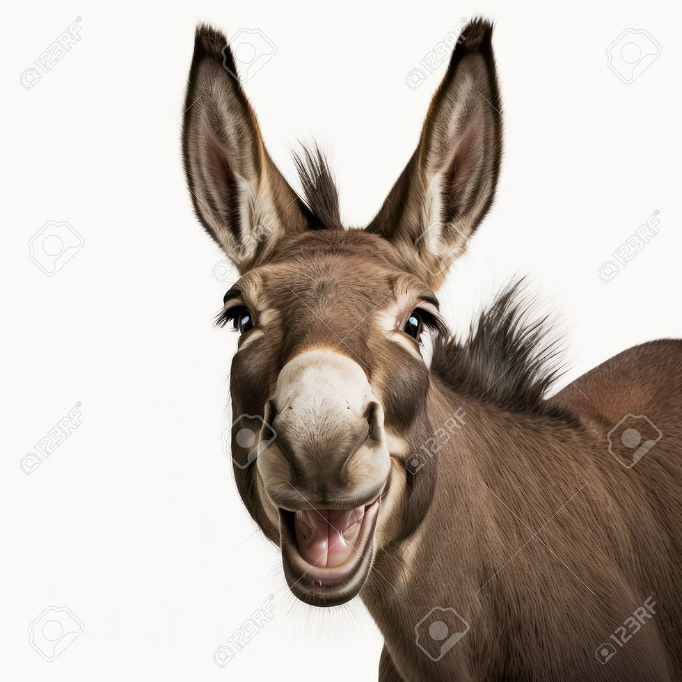 ree