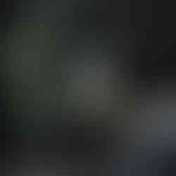 Watercolour painting of three green succulents with soft shading on a white background.