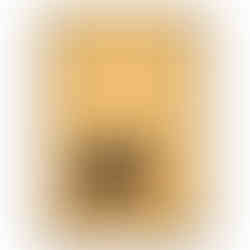 Cute minimalist black and orange hedgehog illustration on a beige background.